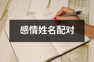 感情姓名配对