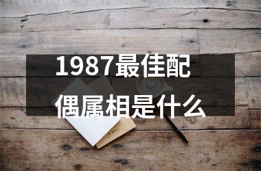 <h3>1987佳配偶属相是什么
