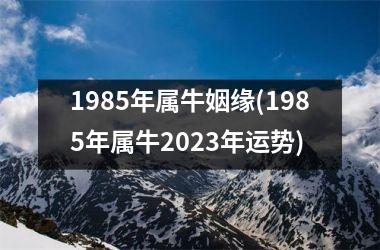 <h3>1985年属牛姻缘(1985年属牛2025年运势)
