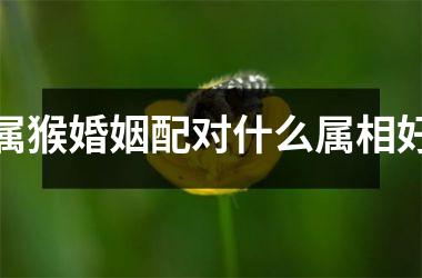 <h3>属猴婚姻配对什么属相好