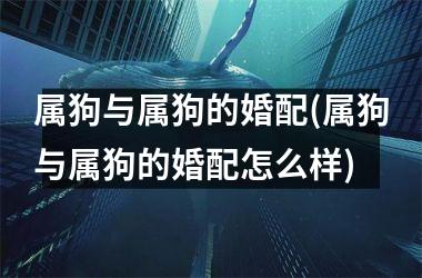 <h3>属狗与属狗的婚配(属狗与属狗的婚配怎么样)
