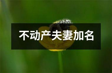 <h3>不动产夫妻加名