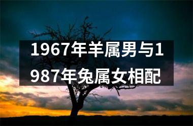 <h3>1967年羊属男与1987年兔属女相配