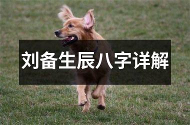 <h3>刘备生辰八字详解