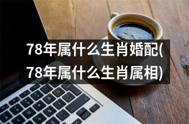 <h3>78年属什么生肖婚配(78年属什么生肖属相)