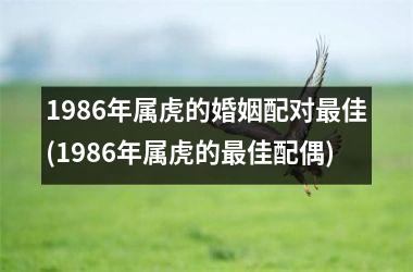 <h3>1986年属虎的婚姻配对佳(1986年属虎的佳配偶)