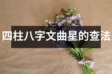 <h3>四柱八字文曲星的查法