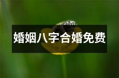 <h3>婚姻八字合婚免费