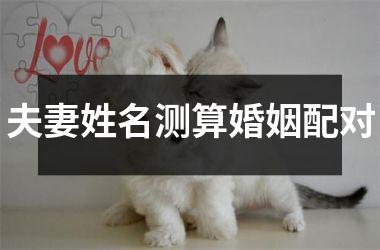 <h3>夫妻姓名测算婚姻配对