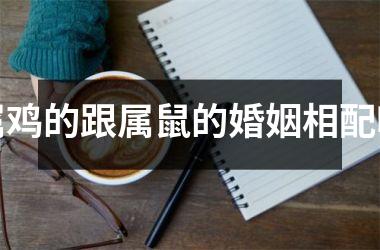 属鸡的跟属鼠的婚姻相配吗