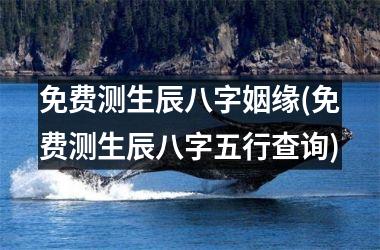 <h3>免费测生辰八字姻缘(免费测生辰八字五行查询)