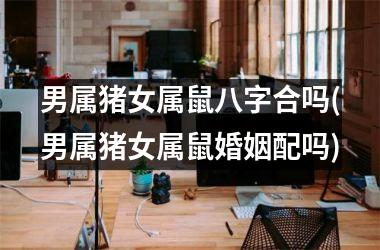 男属猪女属鼠八字合吗(男属猪女属鼠婚姻配吗)