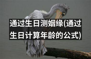 通过生日测姻缘(通过生日计算年龄的公式)
