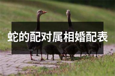蛇的配对属相婚配表
