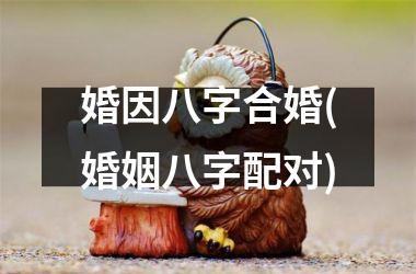 <h3>婚因八字合婚(婚姻八字配对)