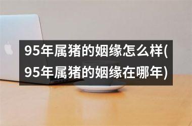 <h3>95年属猪的姻缘怎么样(95年属猪的姻缘在哪年)