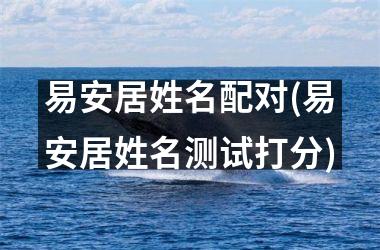 易安居姓名配对(易安居姓名测试打分)