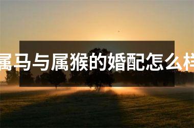 <h3>属马与属猴的婚配怎么样