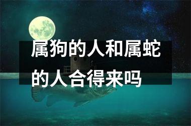 属狗的人和属蛇的人合得来吗