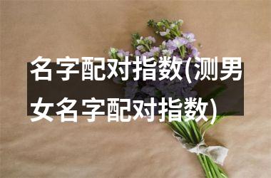 <h3>名字配对指数(测男女名字配对指数)