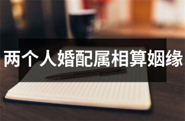 <h3>两个人婚配属相算姻缘