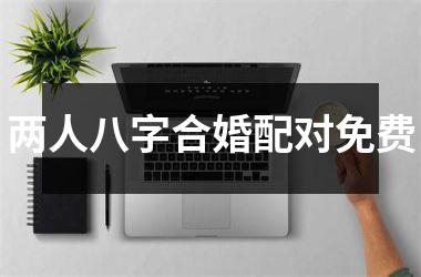 <h3>两人八字合婚配对免费
