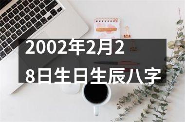 <h3>2002年2月28日生日生辰八字
