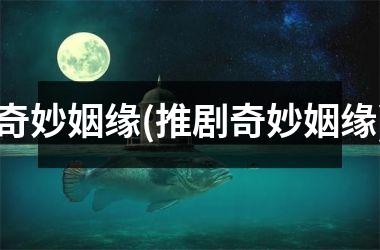 奇妙姻缘(推剧奇妙姻缘)