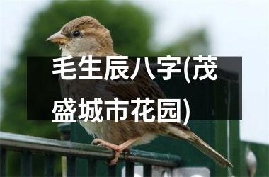 <h3>毛生辰八字(茂盛城市花园)