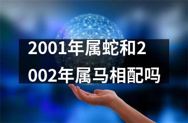 <h3>2001年属蛇和2002年属马相配吗