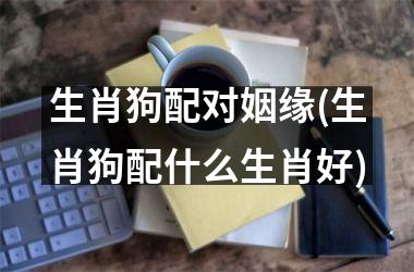 <h3>生肖狗配对姻缘(生肖狗配什么生肖好)