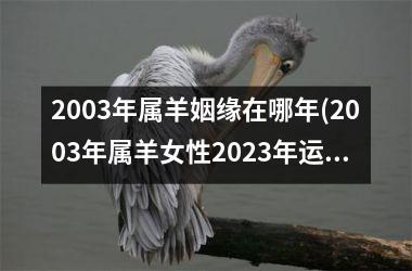 2003年属羊姻缘在哪年(2003年属羊女性2025年运势运程)