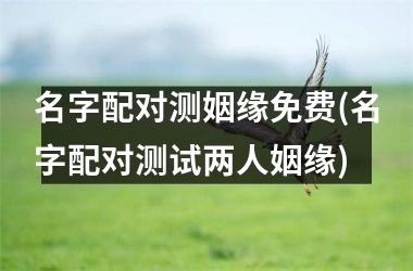 <h3>名字配对测姻缘免费(名字配对测试两人姻缘)