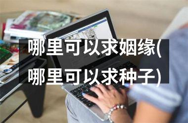 哪里可以求姻缘(哪里可以求种子)