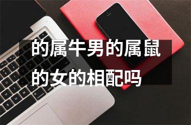的属牛男的属鼠的女的相配吗