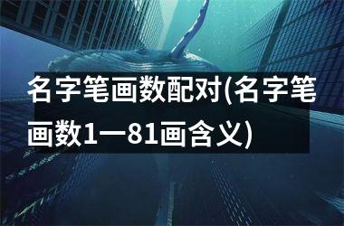 名字笔画数配对(名字笔画数1一81画含义)