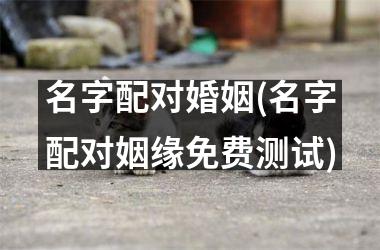 <h3>名字配对婚姻(名字配对姻缘免费测试)