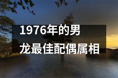 1976年的男龙佳配偶属相