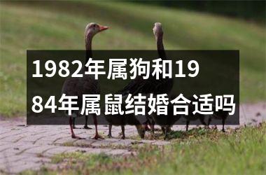 <h3>1982年属狗和1984年属鼠结婚合适吗