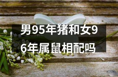 男95年猪和女96年属鼠相配吗