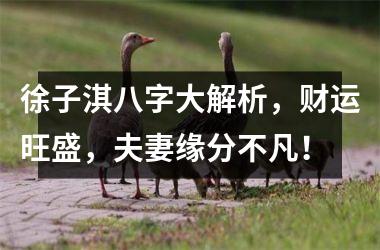 徐子淇八字大解析，财运旺盛，夫妻缘分不凡！