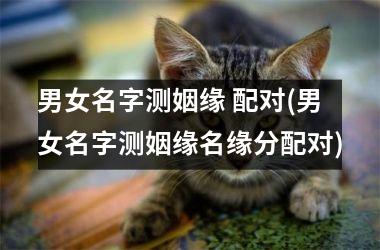 男女名字测姻缘 配对(男女名字测姻缘名缘分配对)