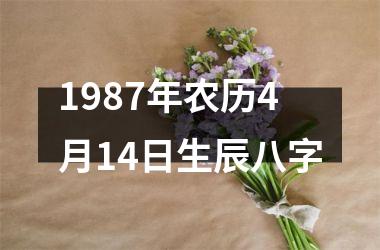 <h3>1987年农历4月14日生辰八字