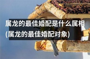 属龙的佳婚配是什么属相(属龙的佳婚配对象)