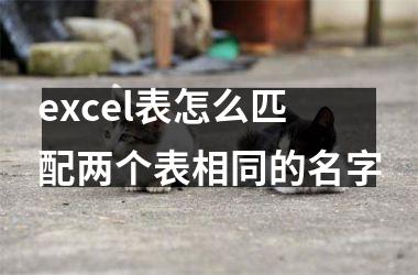 <h3>excel表怎么匹配两个表相同的名字