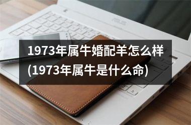 <h3>1973年属牛婚配羊怎么样(1973年属牛是什么命)