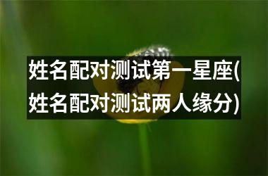 <h3>姓名配对测试第一星座(姓名配对测试两人缘分)