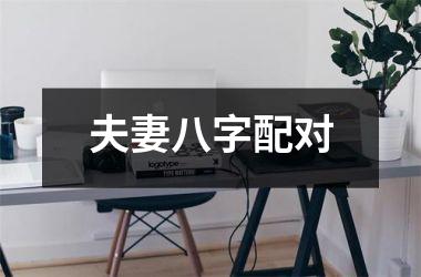 <h3>夫妻八字配对