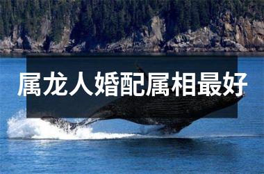 <h3>属龙人婚配属相好