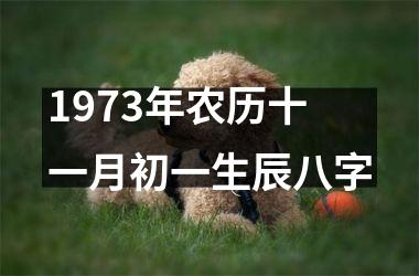 <h3>1973年农历十一月初一生辰八字